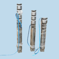 submersible pumps for sea water